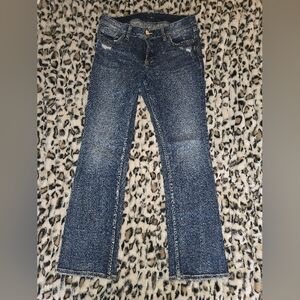 Silver Jeans Co. Sam Boyfriend Jean